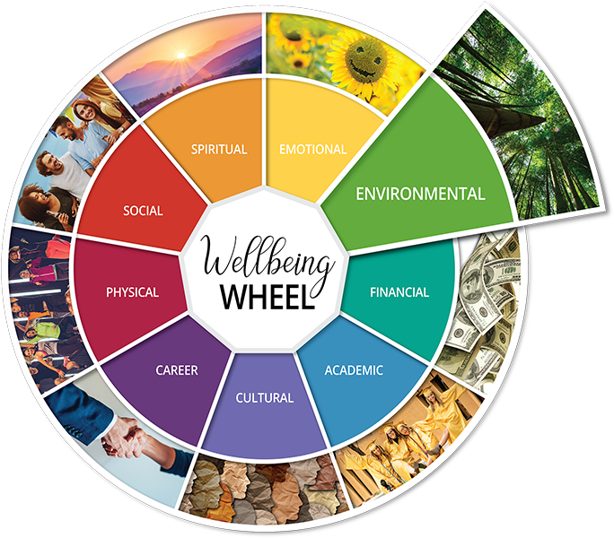 Environmental Wellbeing