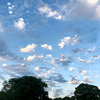 Photo image of a bright cloudy sky with two trees and the top of a building viewable at the bottom.