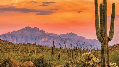 beautiful desert landscape