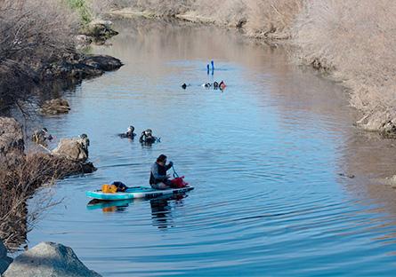 volunteers in kayaks engaged in Salt River cleanup