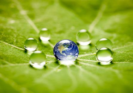 sparkling water that looks like pearls on a leaf