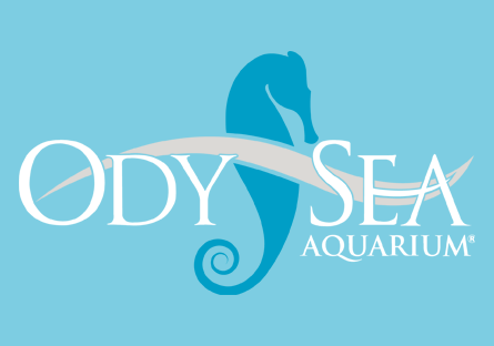 Odysea Aquarium logo