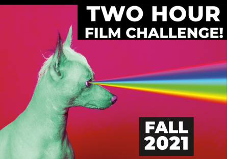two hour film challenge featuring dog with xray rainbow eyes