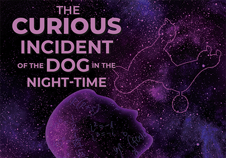 The Curious Incident of the Dog in the Night-Time