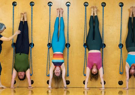 yoga instructor with students doing hand stands