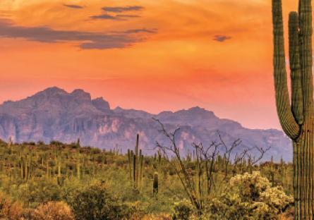 beautiful desert landscape
