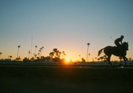 jockey and horse 