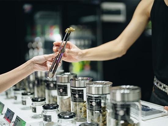 cannabis worker in store