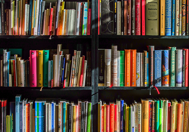 books on bookshelves